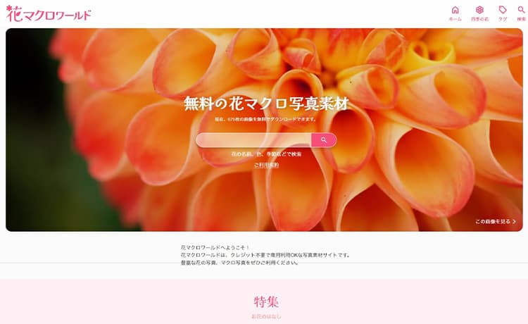 花マクロワールド