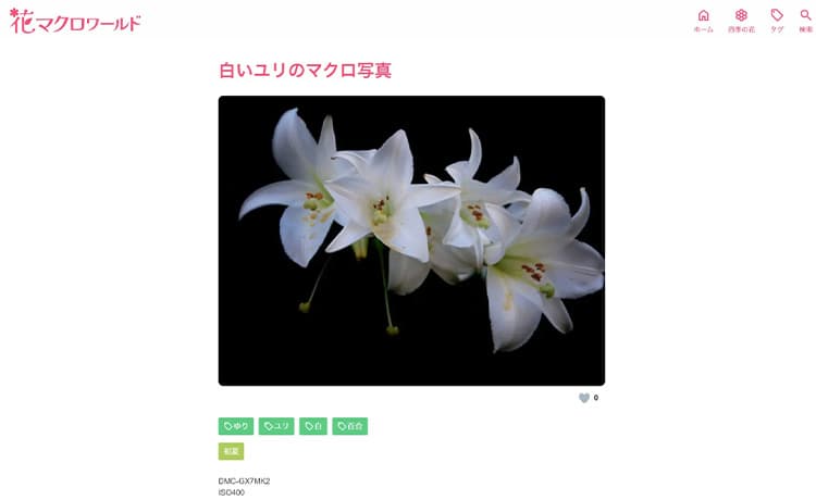 花マクロワールド