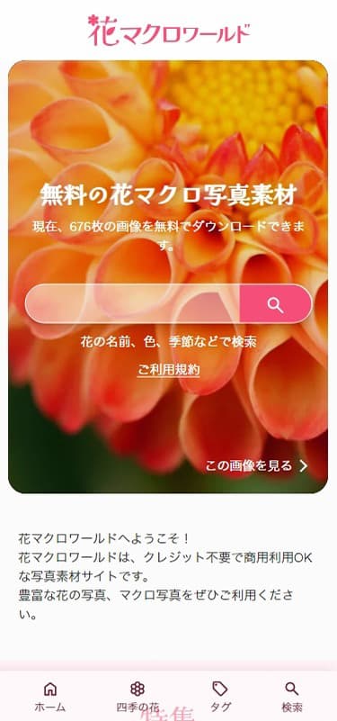 花マクロワールド