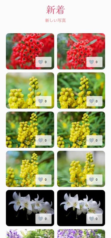 花マクロワールド